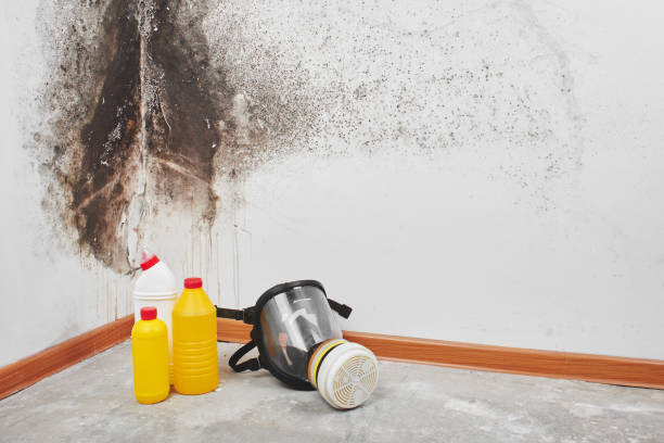 Best Crawl Space Mold Removal  in Clarence, IA