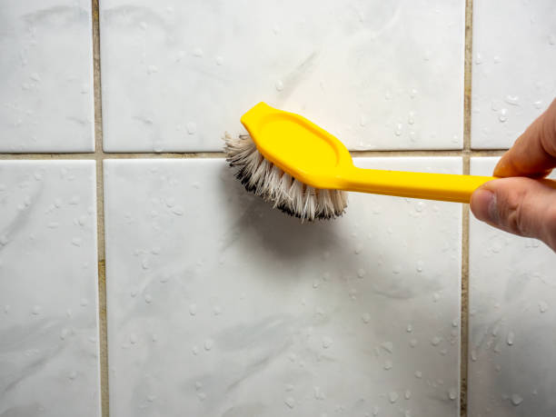 Best Affordable Mold Removal  in Clarence, IA