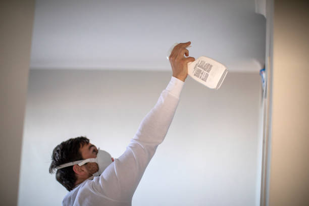Best Commercial Mold Removal  in Clarence, IA