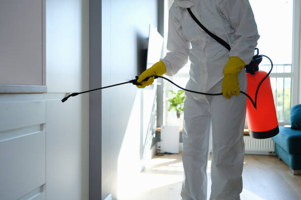 Best Mold Testing  in Clarence, IA