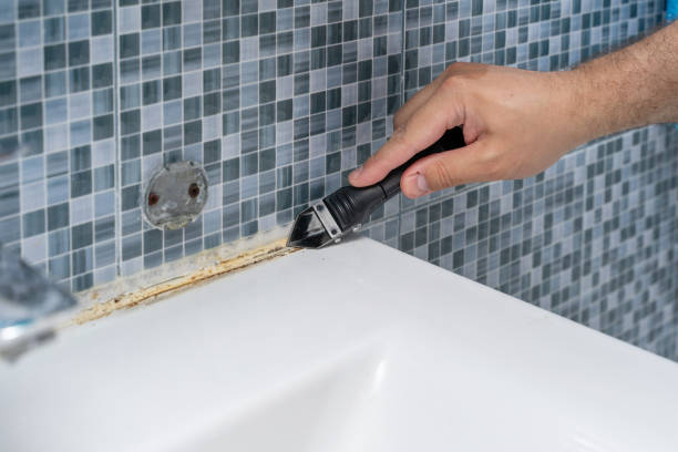 Best Mold Remediation Experts  in Clarence, IA